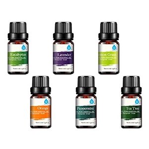 $12.29 Pursonic 100％纯精油香薰礼盒套装