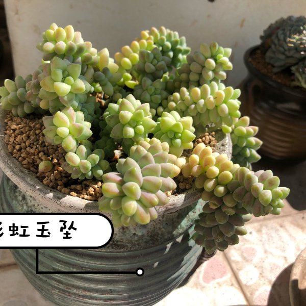 晒货图片
