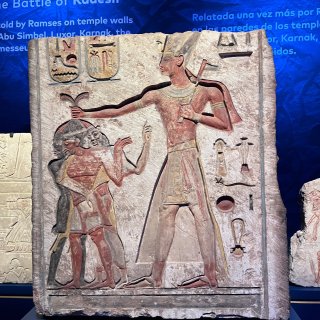 de Young 博物館埃及展免費看！...