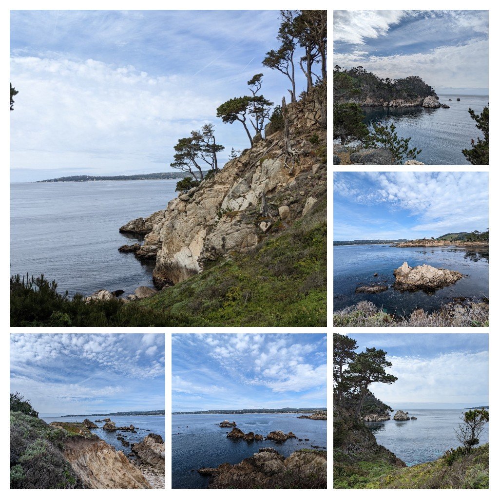 带娃看seal--Point Lobos...