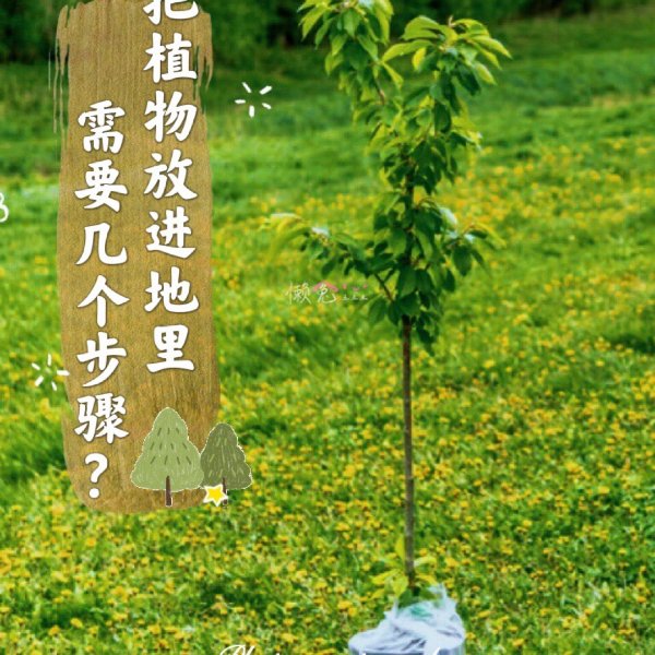 晒货图片