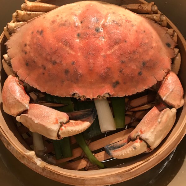 晒货图片