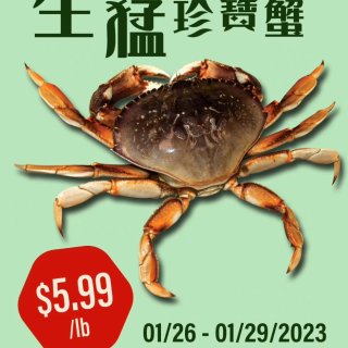 $5.99/lb大螃蟹