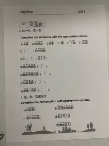 Lingoace 网上中文教学使小孩有学习的兴趣