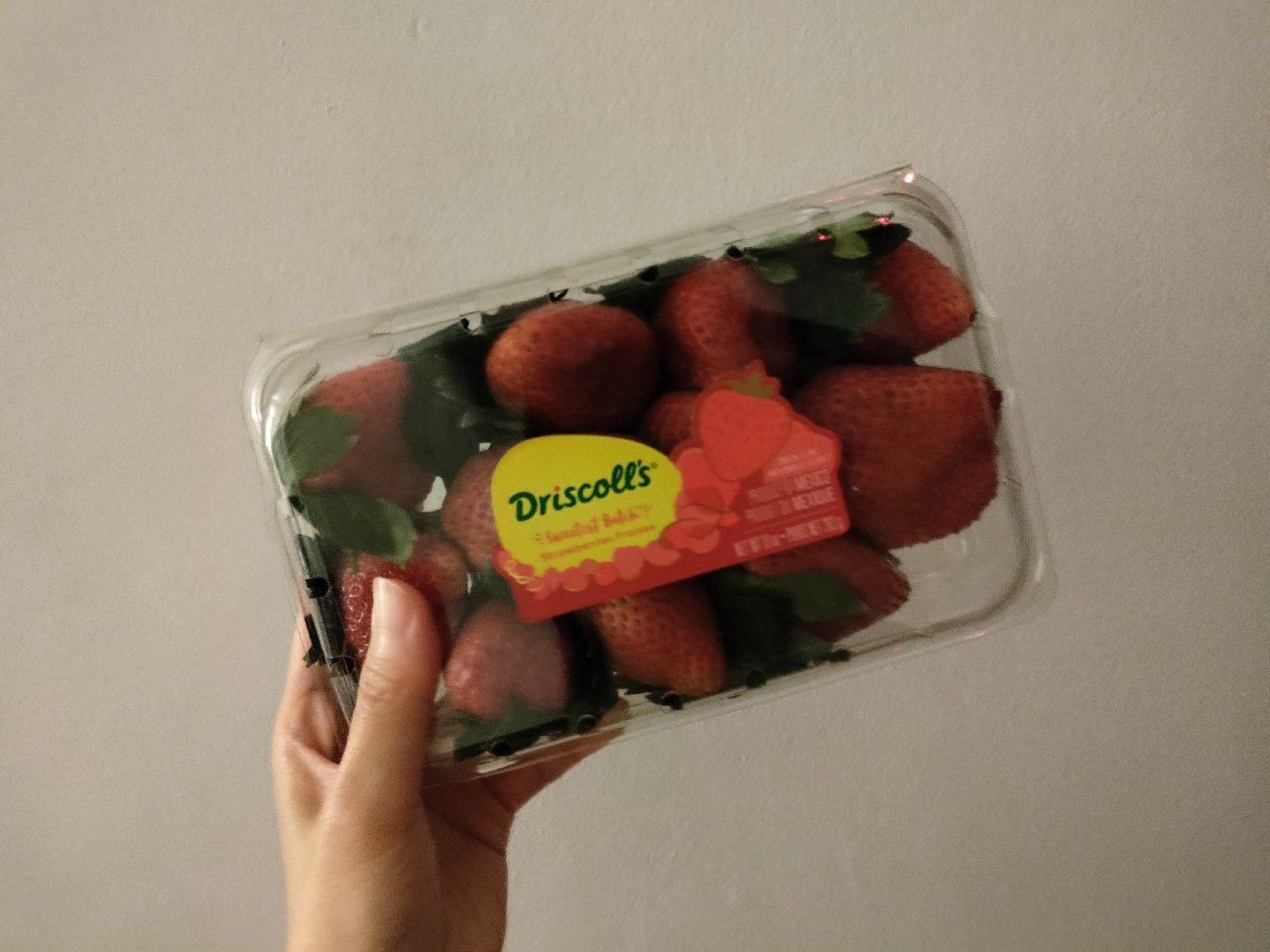 Driscolls 草莓 6