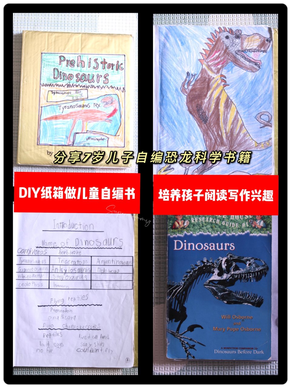 Amazon 亚马逊,Dinosaurs: A Nonfiction Companion to Magic Tree House #1: Dinosaurs Before Dark (9780375802966): Will Osborne, Mary Pope Osborne, Sal Murdocca: Books