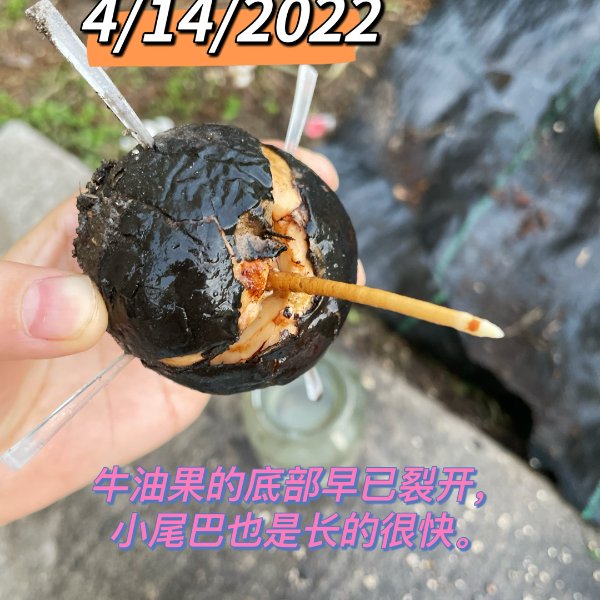 晒货图片