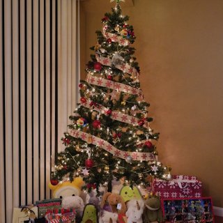 第一棵自己家里组装+装饰的圣诞树🎄...
