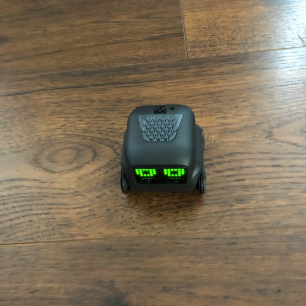 晒货图片