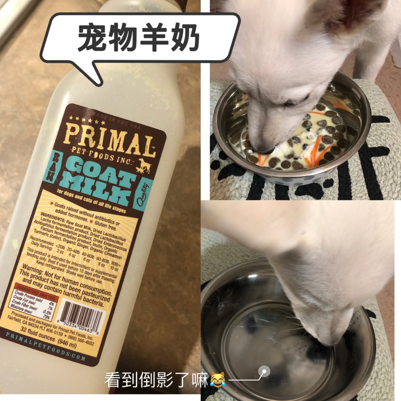 Primal,Chewy.com,Petco