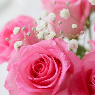 浪漫的粉色情人节｜有花的日子，每天都是情...
