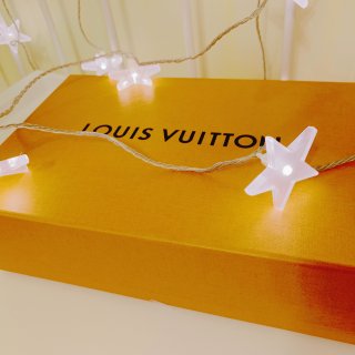 Louis Vuitton 路易·威登,小圆饼,包治百病,mini小小包,我抢到了断货王,北美双十一