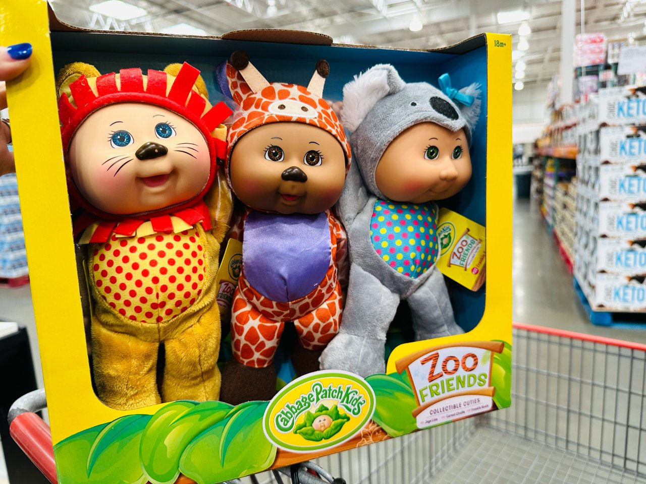 Cabbage Patch Kids,Costco