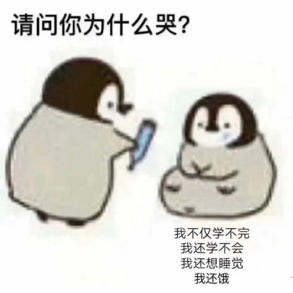 晒货图片