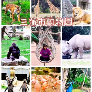 🦒🐅三藩市動物園Zoo🦓🦍...