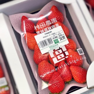 🍓日本草莓｜就是“卷”🍓...
