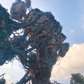 Pandora-the world of Avatar