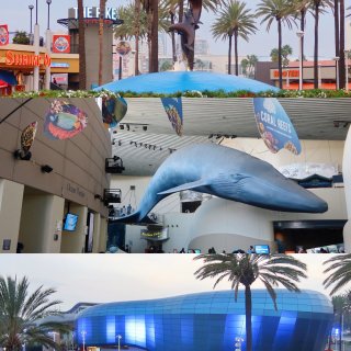 洛杉矶🐬｜水族馆🐠喂鹦鹉🦜触摸鲨鱼魟鱼👋...