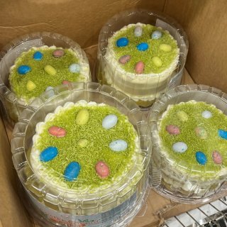 Costco的复活节主题蛋糕和花花们🐰...