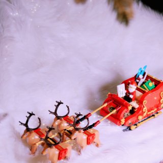 超难买的乐高——圣诞雪橇🛷...
