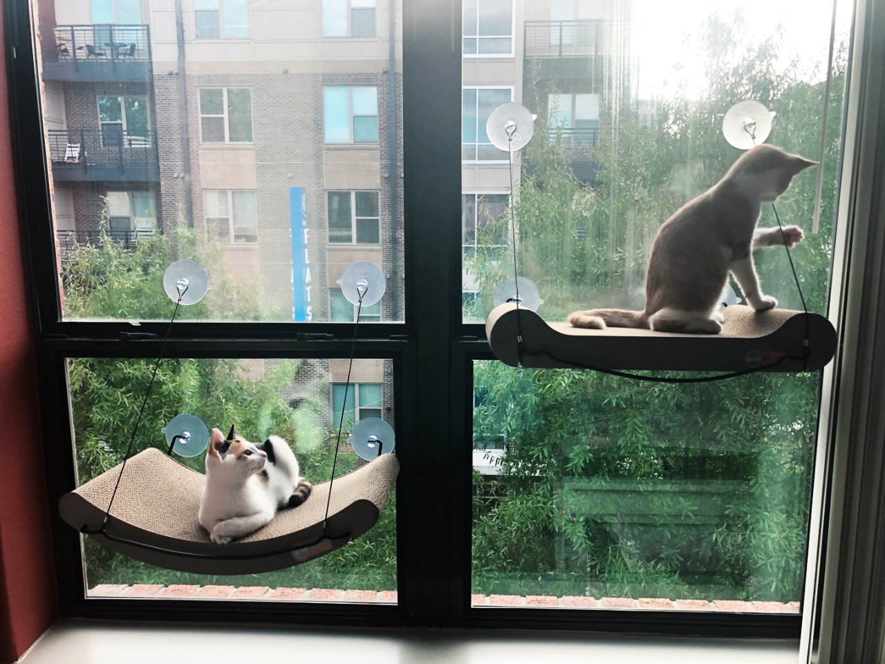 K&H,Window Scrather,猫吊床
