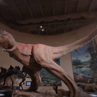 遛娃好去处｜🦕恐龙博物馆...