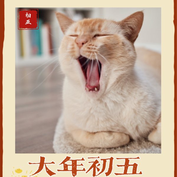 晒货图片