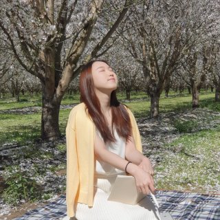 初春-杏花林