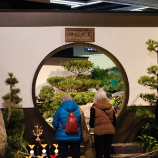 西雅图正在举办西北鲜花园艺展，规模为美西...