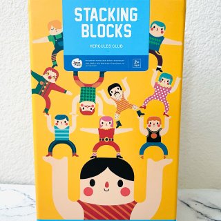 Stacking Toys, Plastic Stacking Blocks Balancing Game ,Early Education Parent-Child Interactive Puzzle Building Block Toy Stacking Balance Game, for Kids, Boys & Girls (16Pieces): Toys & Games