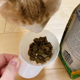 猫咪第一次吃上高级的Ziwi粮～😌...