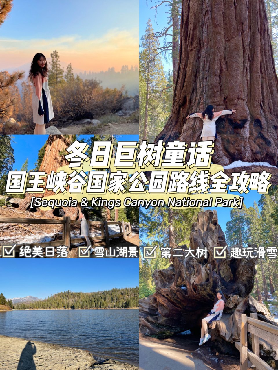 湾区玩乐｜冬日巨树童话 国王峡谷国家公园...