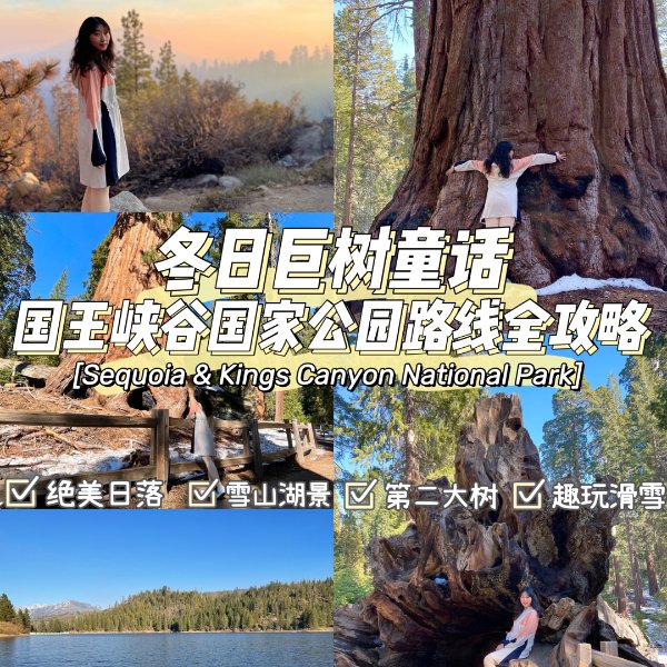 晒货图片