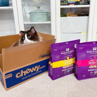 Chewy.com,Stella & Chewy's