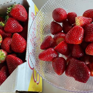 三月 1⃣️：路边摊的草莓🍓...
