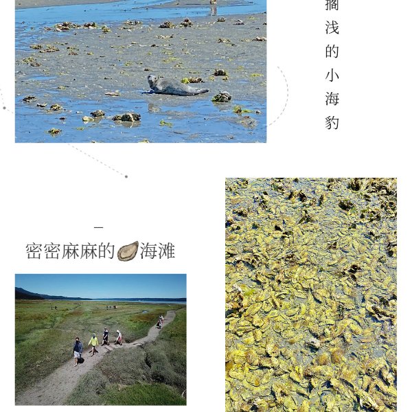 晒货图片