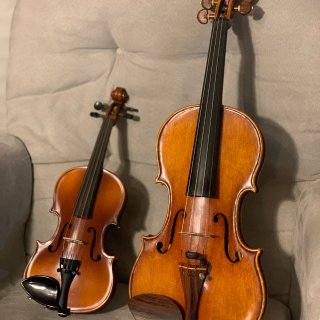 2021年最后一个月，我们开始接触小提琴...