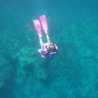 夏威夷大岛潜水的天堂 盲盒之旅 初次尝试...