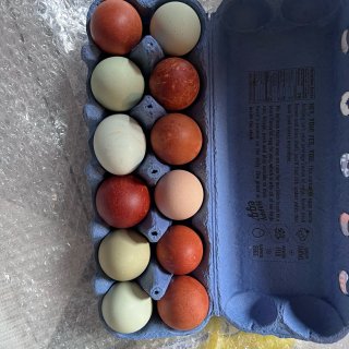 彩虹色的鸡蛋，荔枝味的葡萄...
