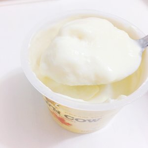 🇺🇸美国最好吃的🍁枫叶口味酸奶没有之一！
