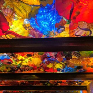 #西雅图旅游| 波斯天花板看玻璃工艺展现...