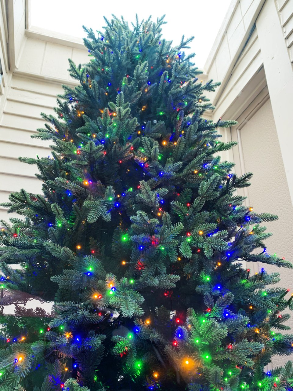 一棵树装扮起浓浓圣诞气氛...