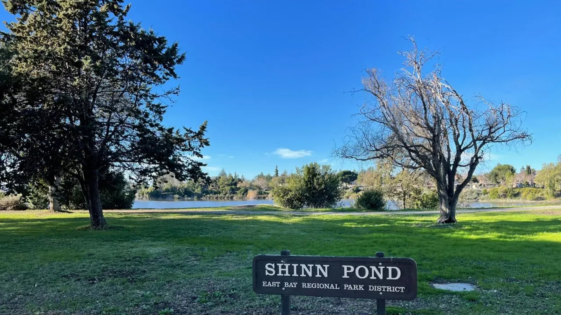 北美去哪玩-旧金山湾区SHINN POND