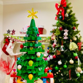 黑五剁手季·乐高送的圣诞树 超值惊喜🎄🎄...