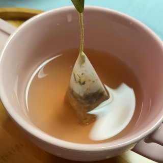 tea forte头上长叶子的茶包...