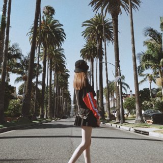 LA网瘾少女已上线｜洛杉矶棕榈树🌴拍摄取...