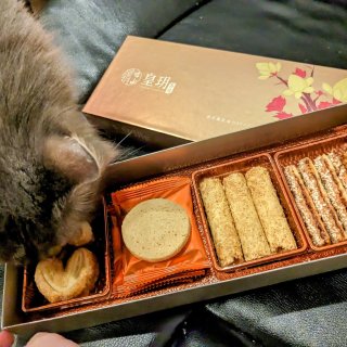 猫猫都也馋嘴的皇玥新年礼盒...