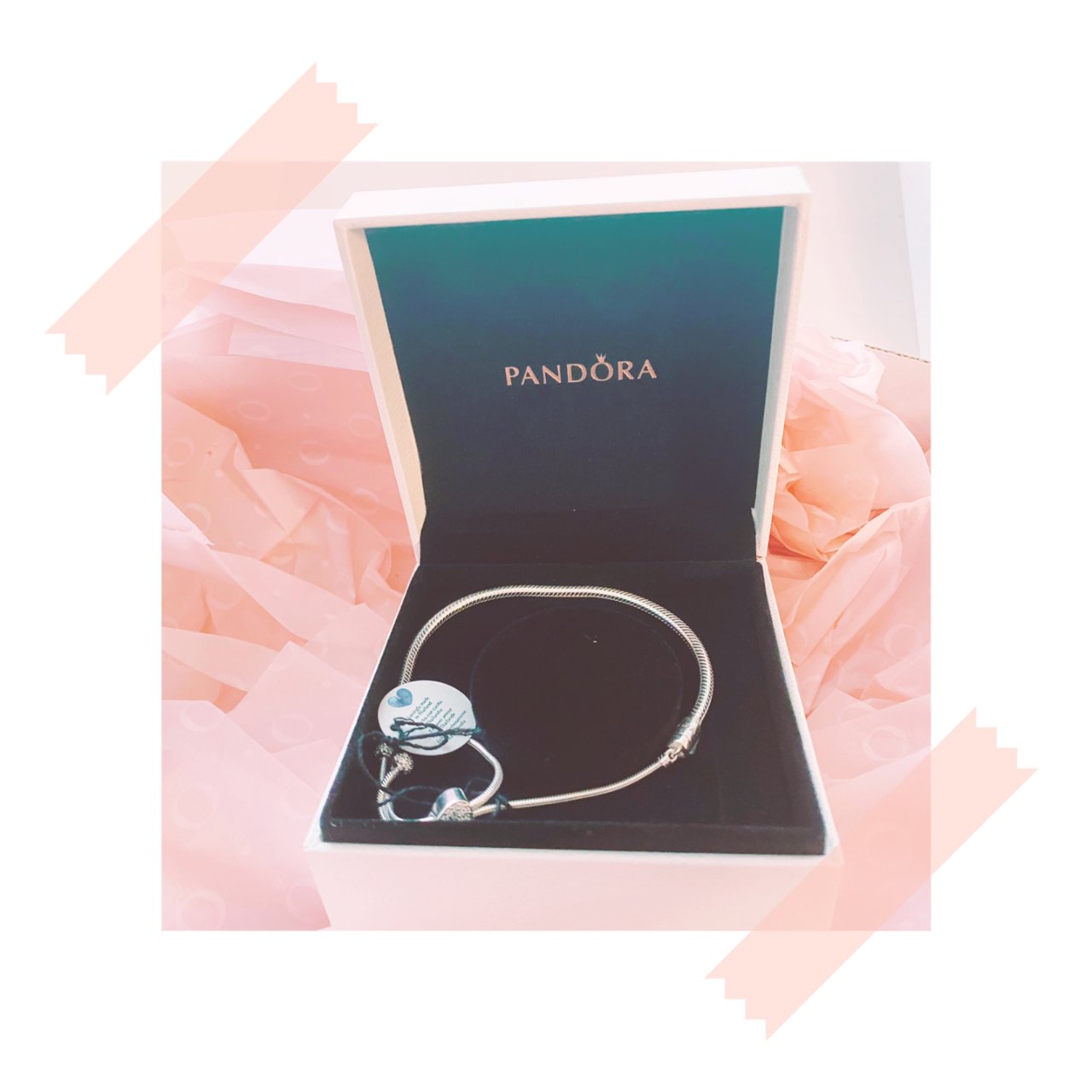 Pandora 潘多拉,100美元