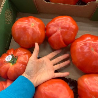 买到了手掌🖐️大的番茄🍅...