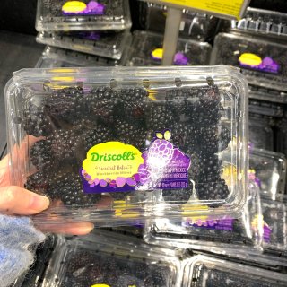 Totem Lake 最甜版黑莓最近常有...